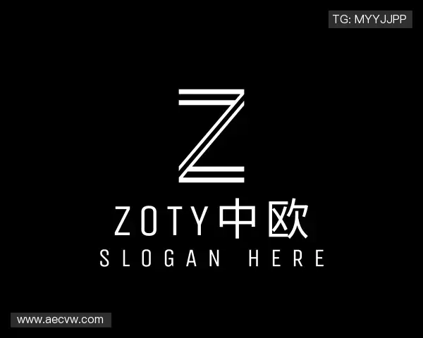 介绍zoty中欧